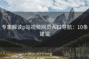 专家解读p站视频网页入口导航：10条建议