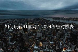 如何玩转91官网？2024终极对照表