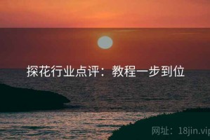 探花行业点评：教程一步到位