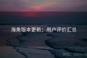 海角版本更新：用户评价汇总