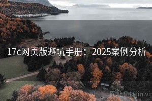 17c网页版避坑手册：2025案例分析