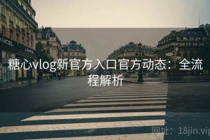 糖心vlog新官方入口官方动态：全流程解析