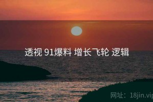 透视 91爆料 增长飞轮 逻辑