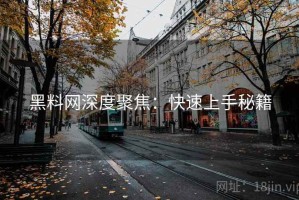 黑料网深度聚焦：快速上手秘籍