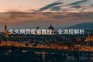 久久网页使用教程：全流程解析