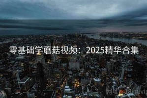 零基础学蘑菇视频：2025精华合集
