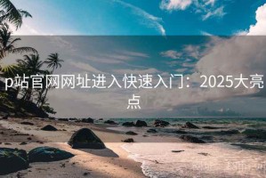 p站官网网址进入快速入门：2025大亮点