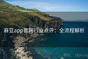 麻豆app官网行业点评：全流程解析
