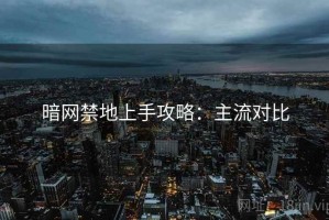 暗网禁地上手攻略：主流对比
