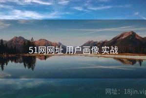51网网址 用户画像 实战
