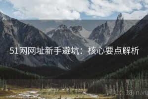 51网网址新手避坑：核心要点解析