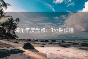 海角年度盘点：3分钟读懂