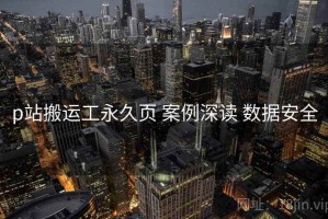 p站搬运工永久页 案例深读 数据安全