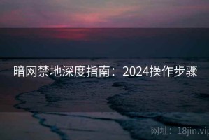 暗网禁地深度指南：2024操作步骤