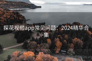 探花视频app常见问题：2024精华合集