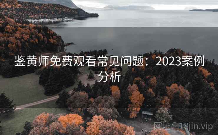 鉴黄师免费观看常见问题:2023案例分析 鉴黄师免费观看常见问题:2023案例分析