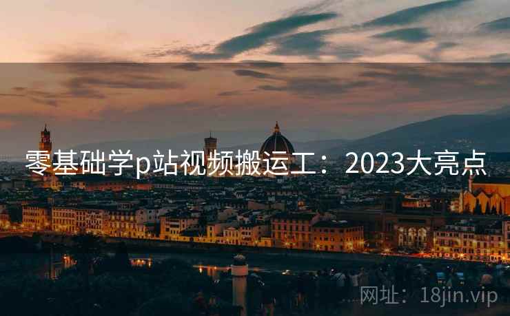 零基础学p站视频搬运工：2023大亮点