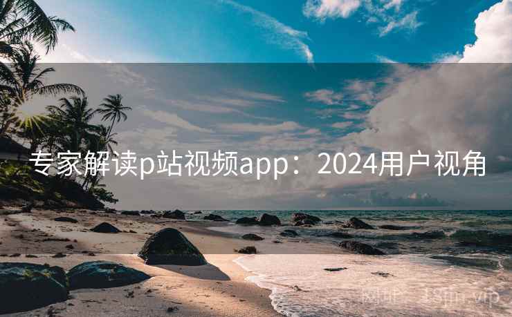 专家解读p站视频app:2024用户视角 专家解读p站视频app:2024用户视角