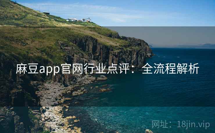麻豆app官网行业点评:全流程解析 麻豆app官网行业点评:全流程解析