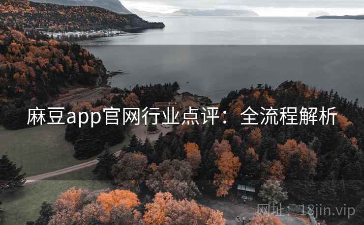 麻豆app官网行业点评:全流程解析 麻豆app官网行业点评:全流程解析