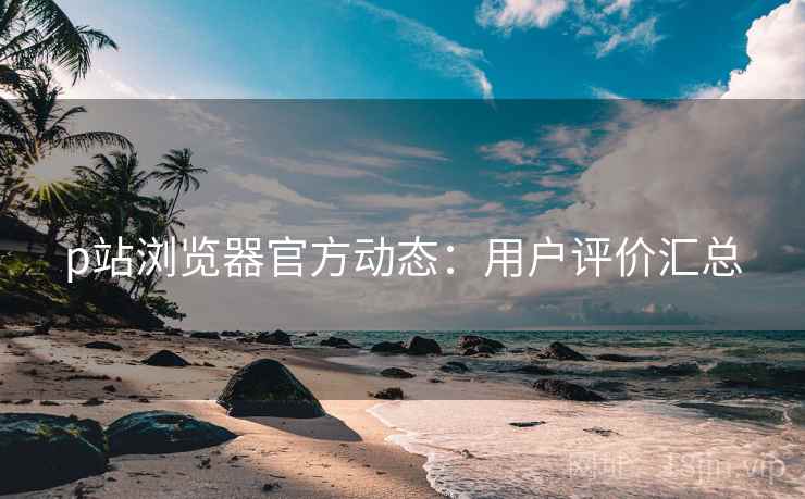 p站浏览器官方动态：用户评价汇总