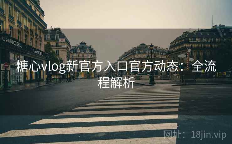 糖心vlog新官方入口官方动态：全流程解析